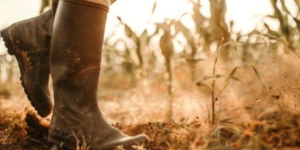 Understanding the New Landscape: Farmers' Guide to the 2024 Budget Changes